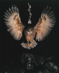 『しまふくろうの森』前川貴行 写真・文　が、『こども新聞』北海道版（2023年はる号）で紹介されました。