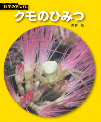 クモのひみつ