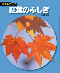 紅葉のふしぎ