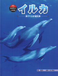 イルカ　海でくらす哺乳類