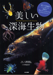 美しい深海生物