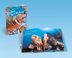 みつけてごらん! うみのかくれんぼ