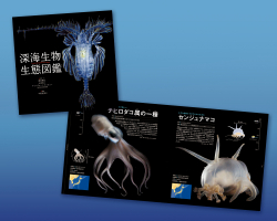 深海生物生態図鑑