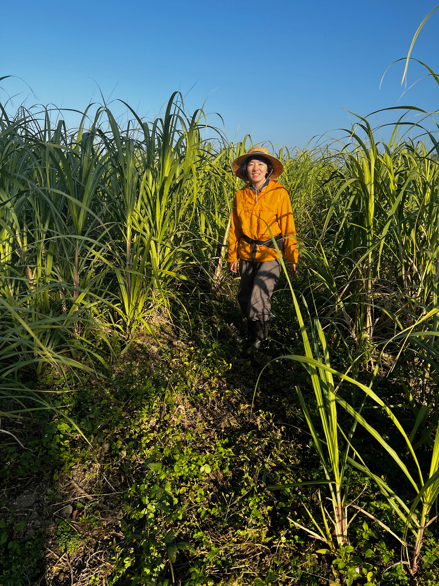 東京・ 三軒茶屋のtwililight、『こくとう ぴょ～』原画展で、高橋久美子×加藤休ミのトークイベント決定！