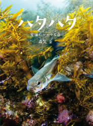 『ハタハタ　荒海にかがやく命』高久至 文・写真 が、『読売KODOMO新聞』（2023年12月7日付）で紹介されました。
